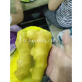 Türkiye&#39;ye küçük bir paket Ginger